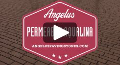 Permeable Aqualina Video