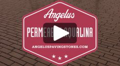 Permeable Aqualina Video