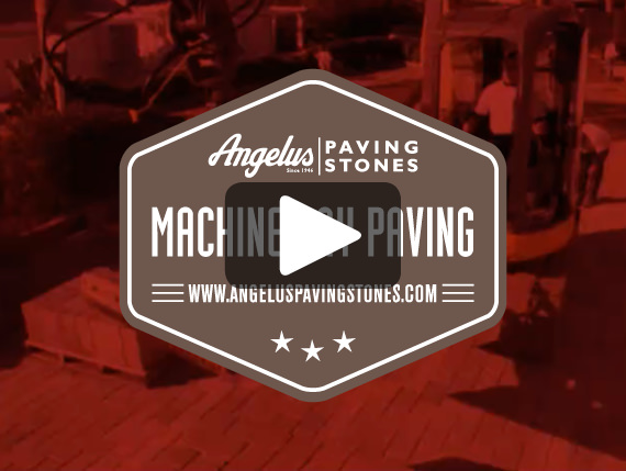 Machine Lay Video