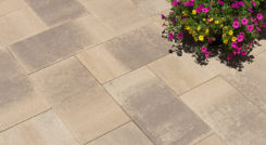 12x24 60mm Adobe_Copper_Mocha Blend paving stone.