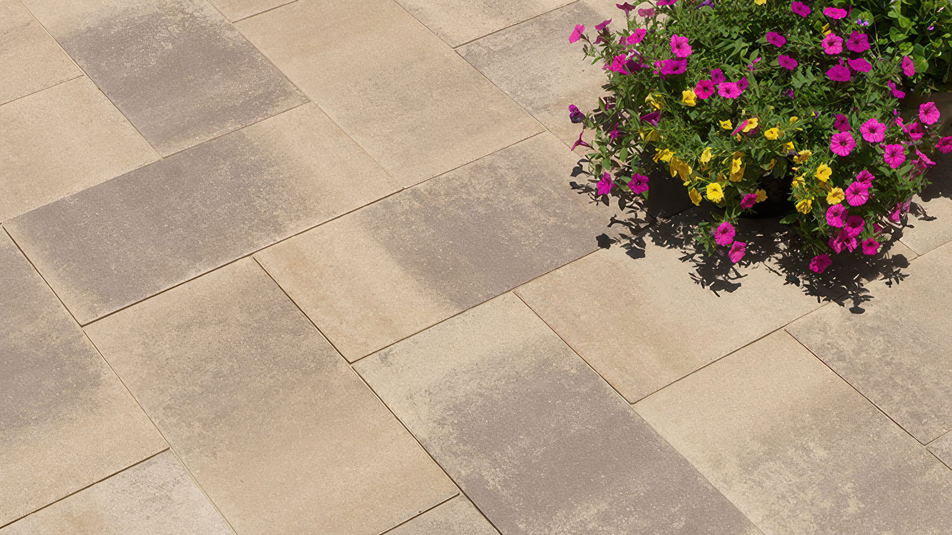 patio with plant. patio covered in blended adobe copper mocha 60mm 12 by 24 inch paving stones installed in a herringbone 90 degree pattern.