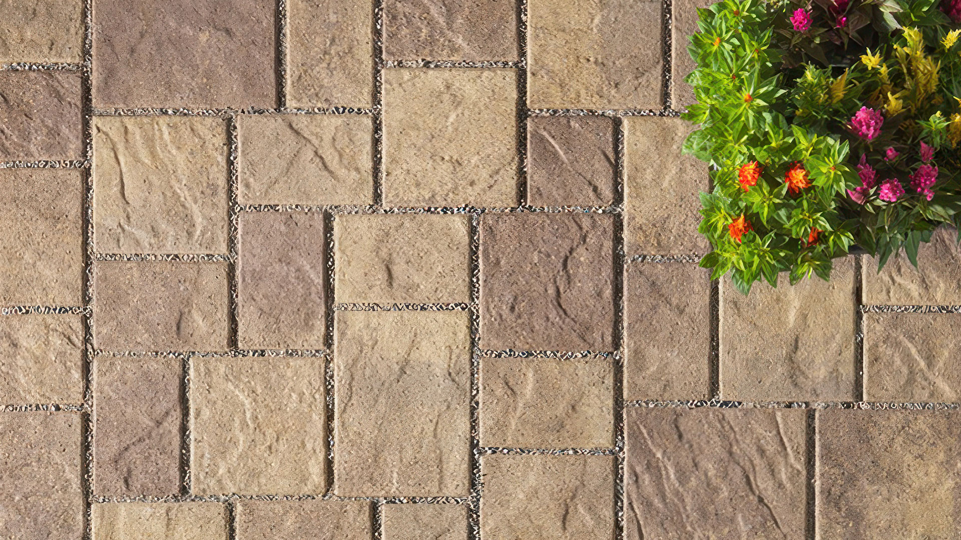 blended sand stone mocha permeable slate paving stones installed in a ashlar pattern. plant with yellow and red flowers in the upper right corner.