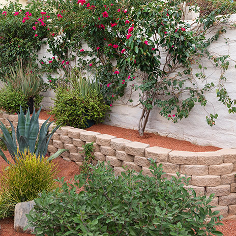 A curved planter wall constructed with Tan 12-inch Planter Wall blocks, installed in a common bond pattern, terraces a desert-inspired garden filled with succulents, agave, flowering vines, and ornamental shrubs. The warm-toned wall complements the natural landscape, decorative gravel groundcover, and lush greenery along the perimeter of the outdoor space.