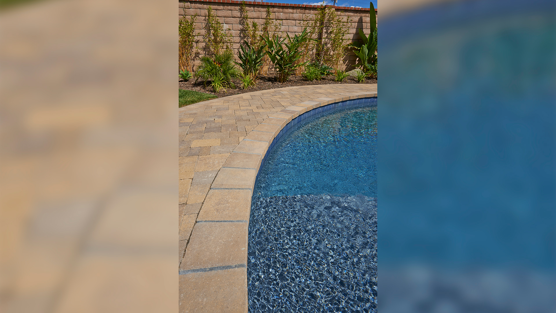Curved poolside patio paved with Distressed Sand-Stone-Mocha Castle Cobble I and II in an ashlar pattern. The pool coping and border are made of matching Distressed Sand-Stone-Mocha Castle Cobble II. The design features warm, natural tones that complement the vibrant blue pool water and surrounding landscaped garden with tropical plants and a block privacy wall.