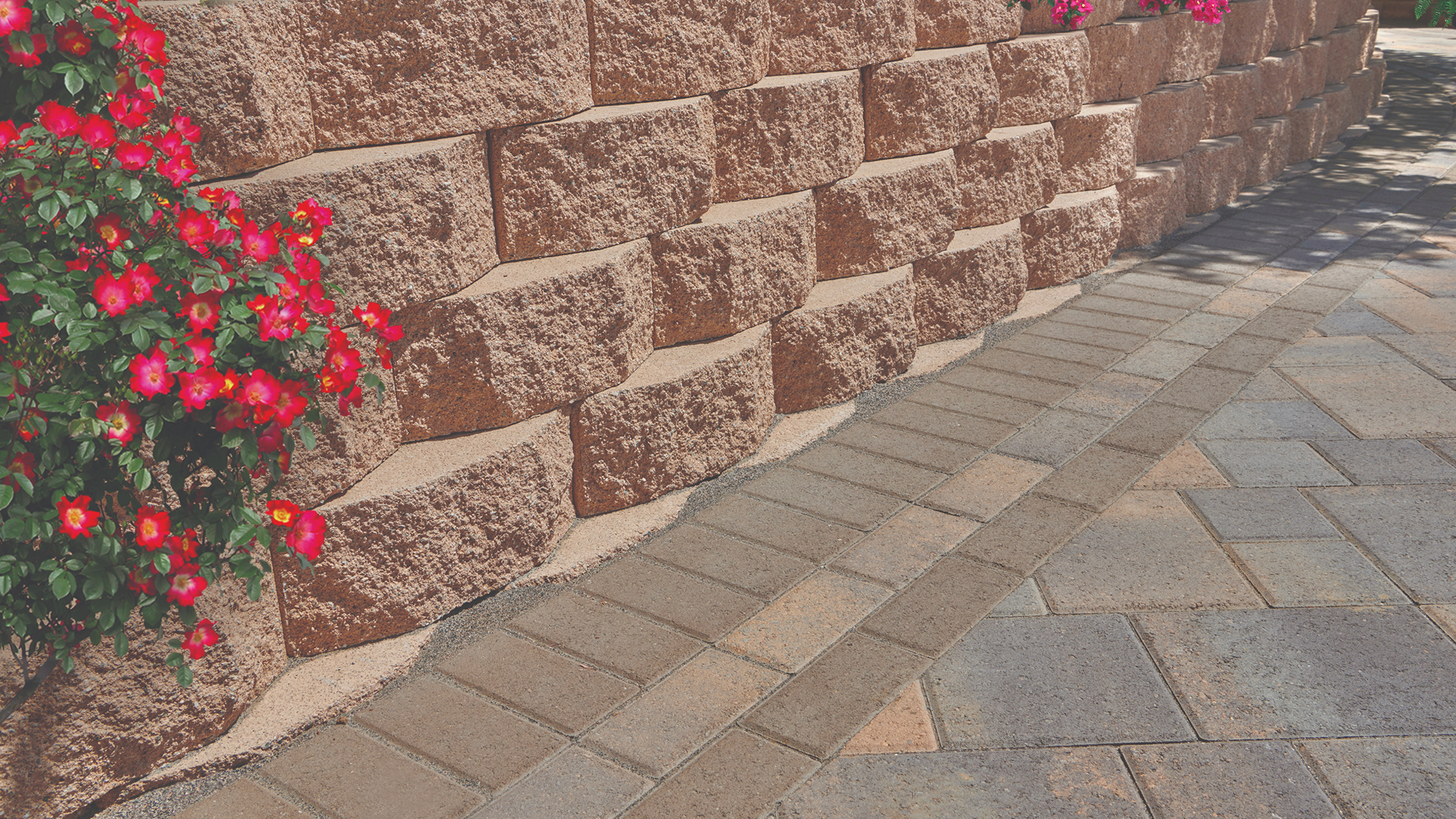 Tan 16-inch Planter Wall blocks installed in a common bond pattern form a tiered retaining wall with vibrant red flowers cascading over the top. Below the wall, the paving features Courtyard Stone in a Tuscan color blend, laid in a 45-degree random ashlar pattern. The paver border includes Holland Mocha in a soldier course, followed by Holland Tuscan and Holland Mocha in running bond patterns. The walkway gently curves, complementing the landscaping design.