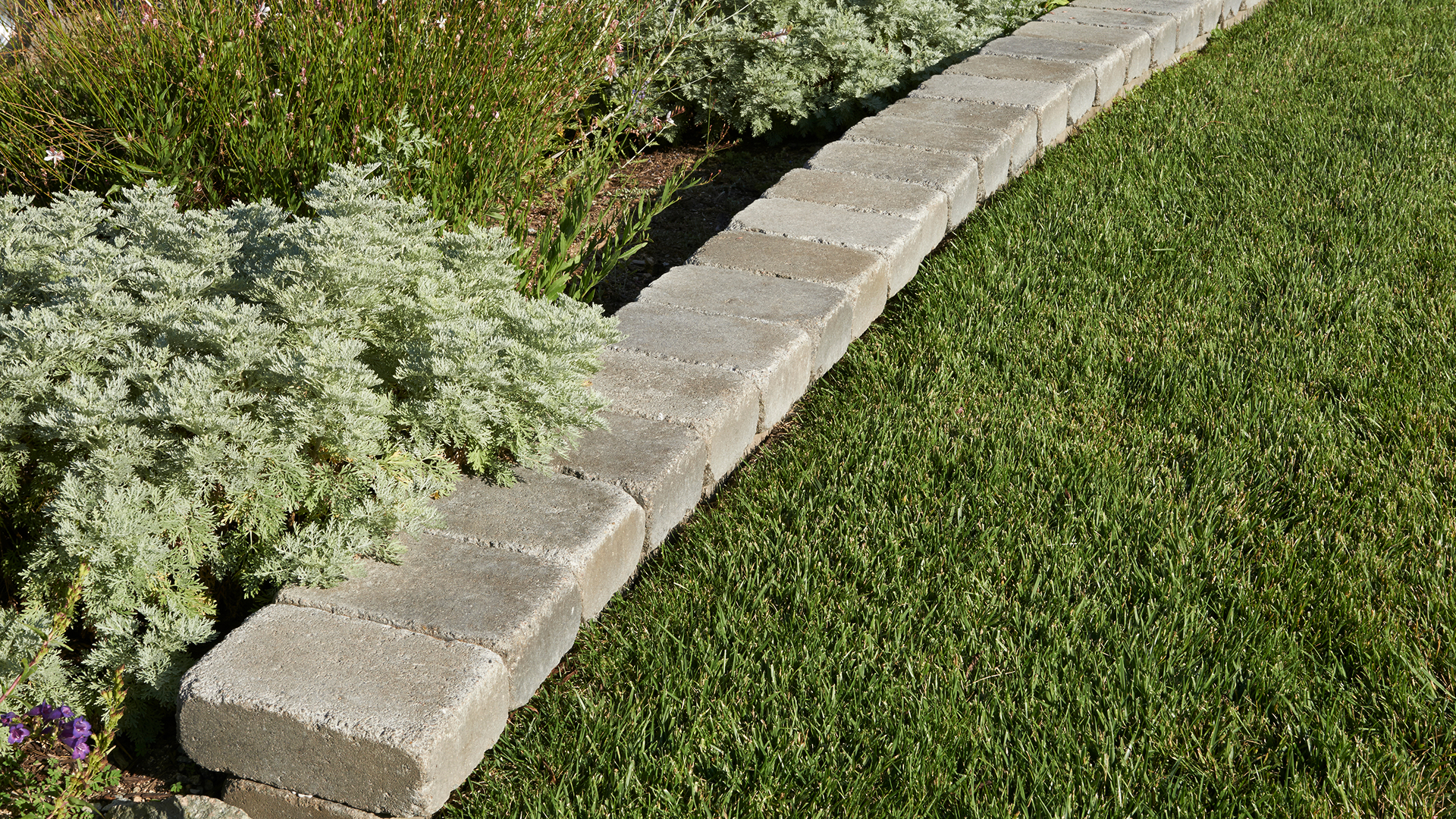 Gray-Moss-Charcoal Rustic Wall blocks used as a low garden border, separating neatly trimmed grass from lush green and silvery foliage plants in a landscaped yard.