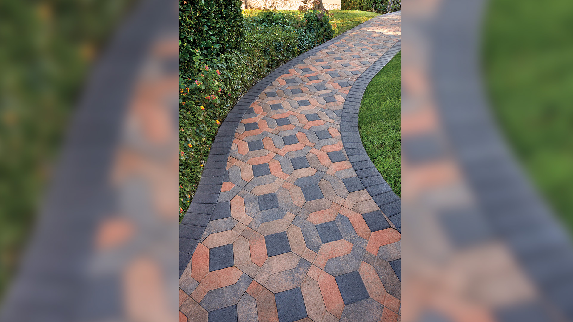 a pathway that curves slightly right with green bushes on the left and green grass on the right. pathway is covered in 50/50 field blend of blended cream terracotta brown and cream brown charcoal symetry paving stones. Installed in a venetian parquet pattern with center stone and border is solid charcoal Holland paving stones.