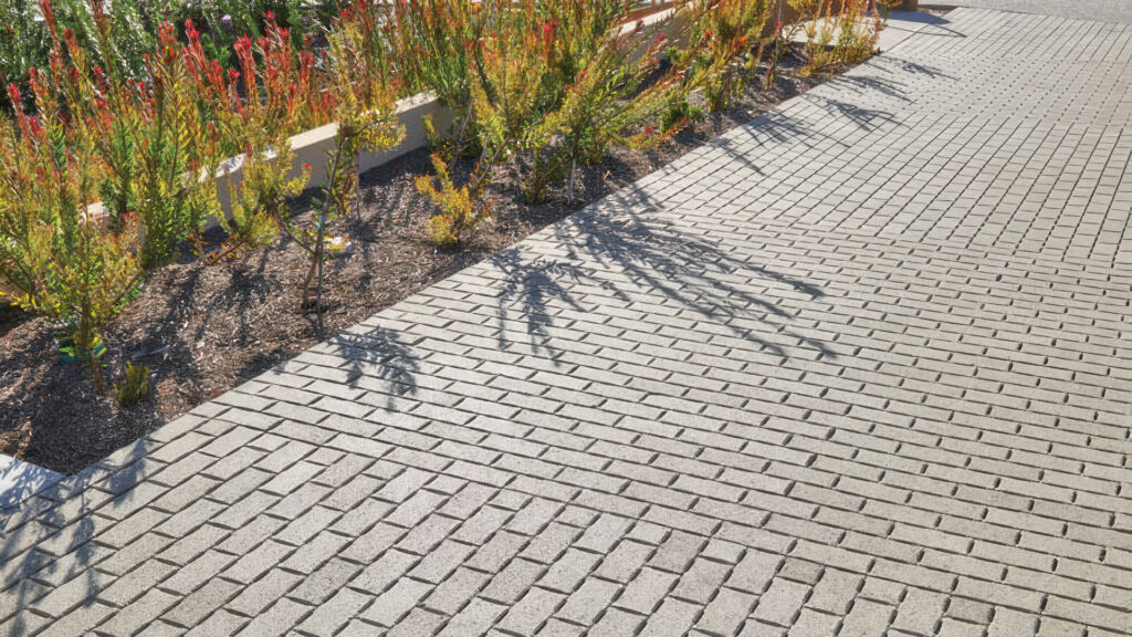 Pedestrian pathway paved with Sand-colored Permeable Holland pavers in a running bond pattern. The clean, narrow layout allows for water drainage while maintaining a structured look. The walkway borders a landscaped bed filled with native plants and red flowering stems, with soft shadows cast by nearby foliage in the afternoon sun.