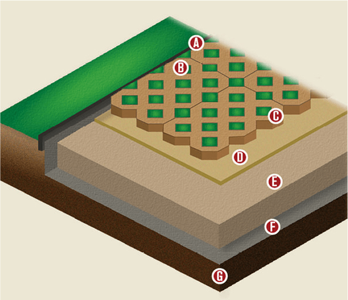 Diagram Image