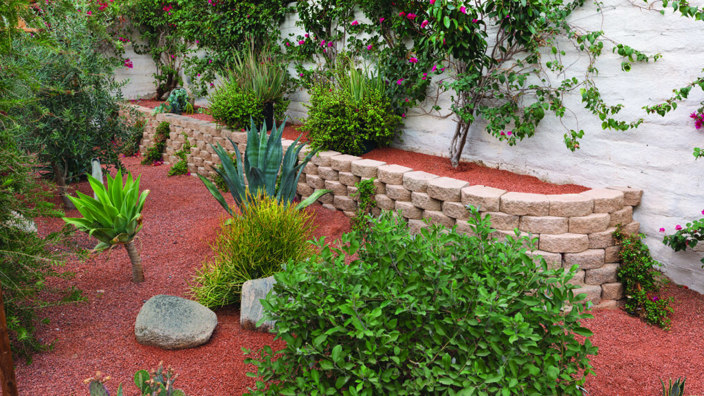 A curved planter wall constructed with Tan 12-inch Planter Wall blocks, installed in a common bond pattern, terraces a desert-inspired garden filled with succulents, agave, flowering vines, and ornamental shrubs. The warm-toned wall complements the natural landscape, decorative gravel groundcover, and lush greenery along the perimeter of the outdoor space.