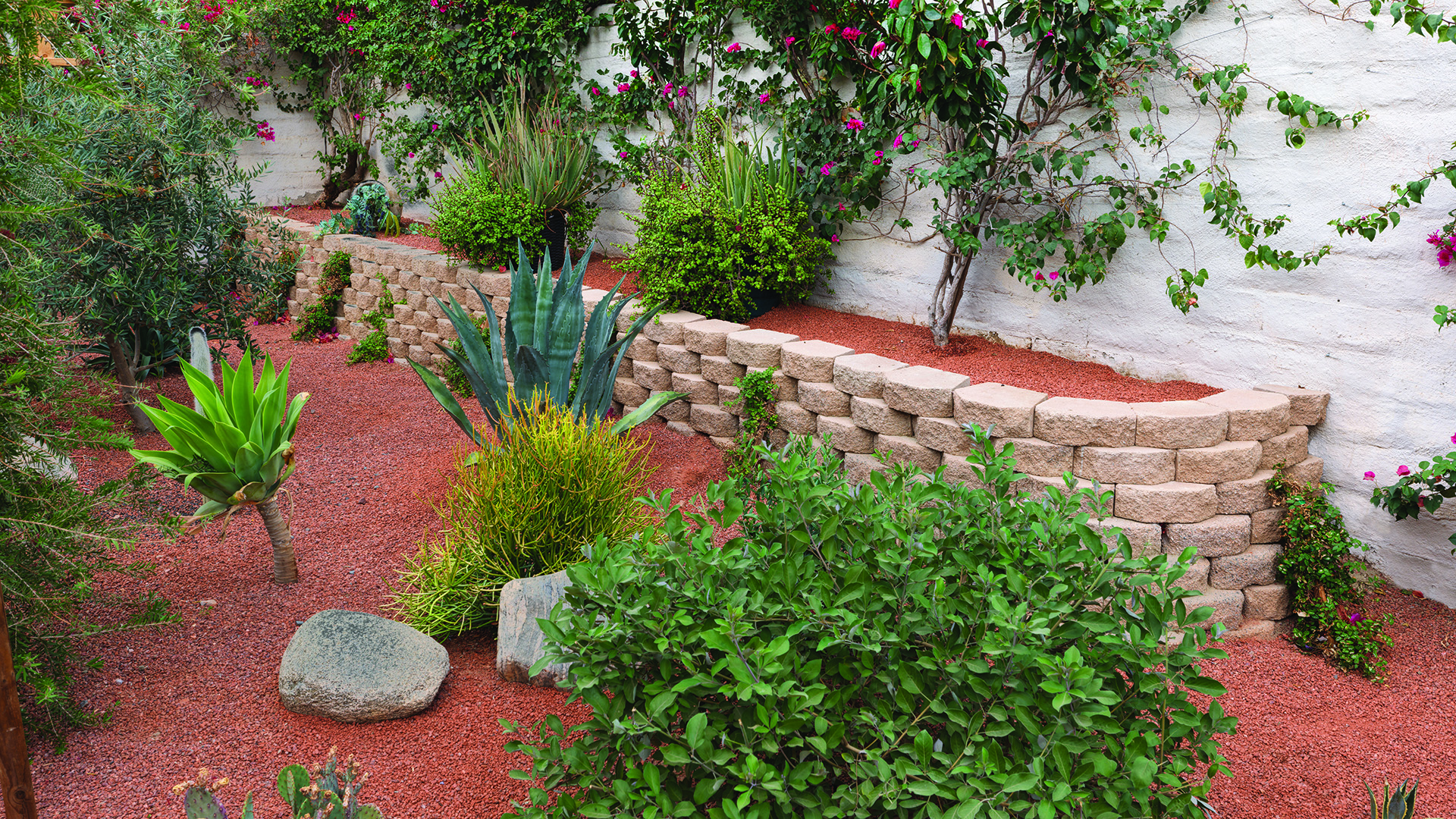A curved planter wall constructed with Tan 12-inch Planter Wall blocks, installed in a common bond pattern, terraces a desert-inspired garden filled with succulents, agave, flowering vines, and ornamental shrubs. The warm-toned wall complements the natural landscape, decorative gravel groundcover, and lush greenery along the perimeter of the outdoor space.