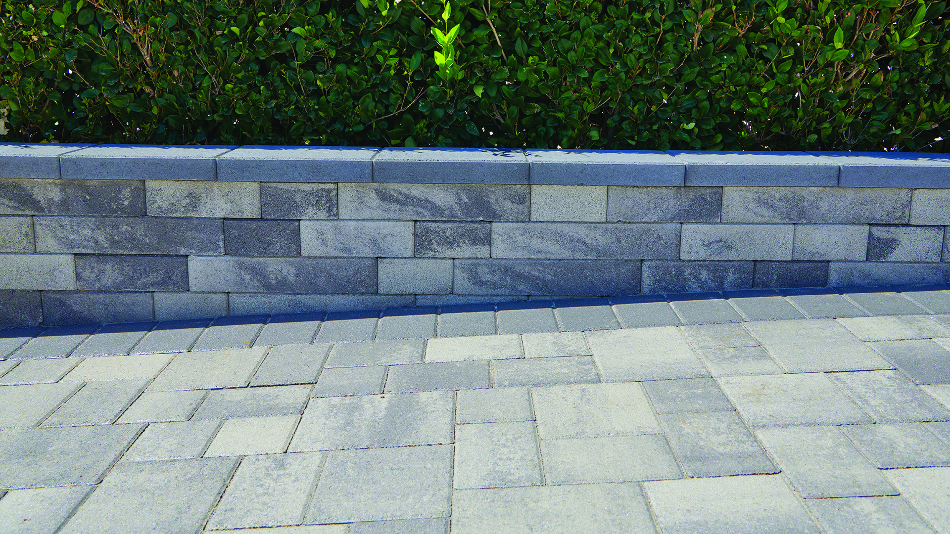A retaining wall constructed with 3 Piece Bastione Wall Stone™ in a Gray-Charcoal blend, installed in a random runner pattern, borders a paved outdoor living area. The wall is topped with Charcoal Bastione Wall Stone™ caps, while Courtyard Stone pavers in Gray-Charcoal installed in a random ashlar pattern create the patio surface. A Courtyard 6x9 Charcoal border provides definition between the wall and paving, with a manicured hedge backdrop completing the landscape design.